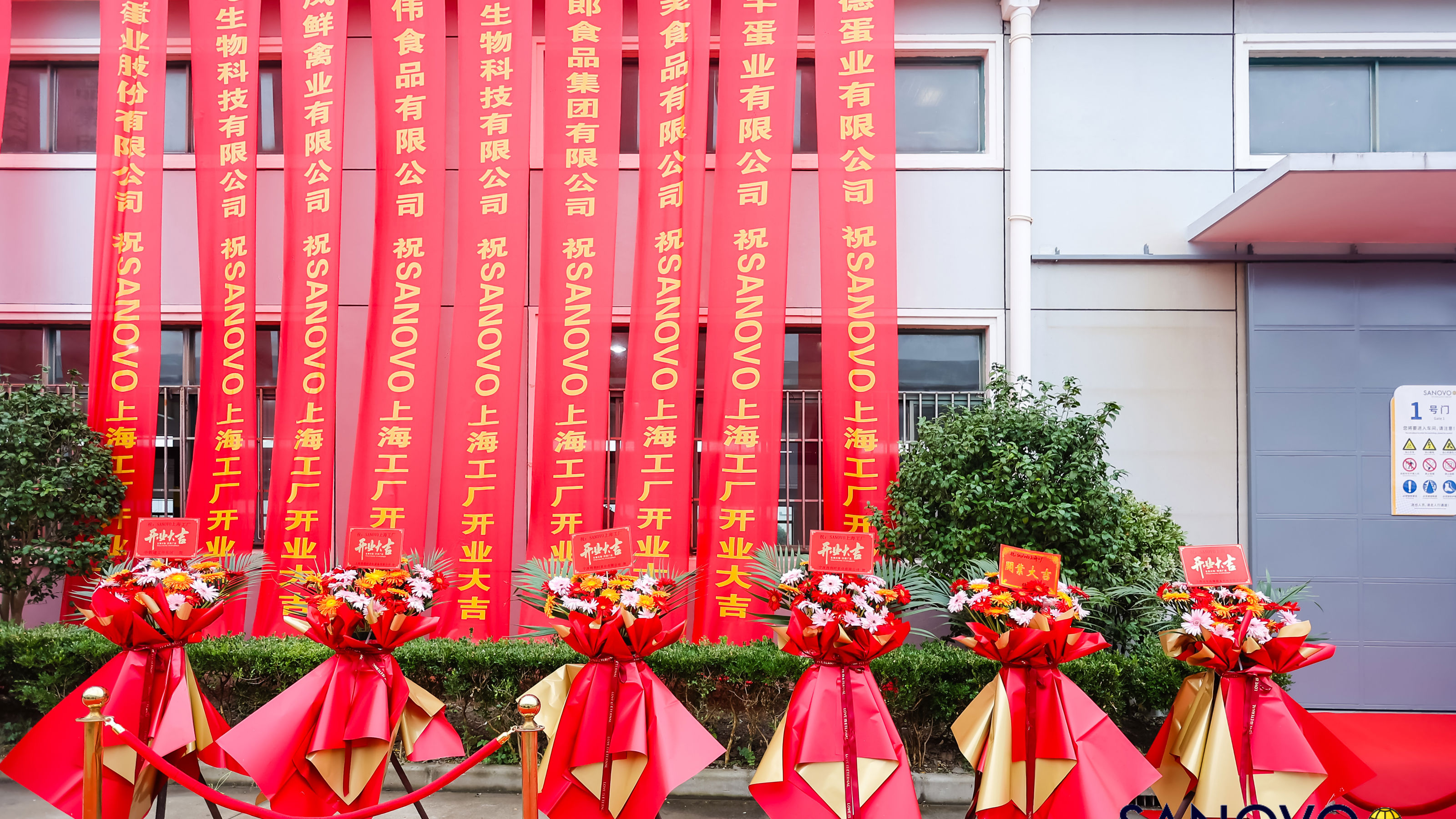 Festive SANOVO TECHNOLOGY CHINA