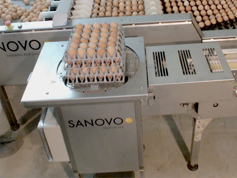 SANOVO Traystacker SX20 stacking multiple egg trays on its rotating platform in a connected packing line.