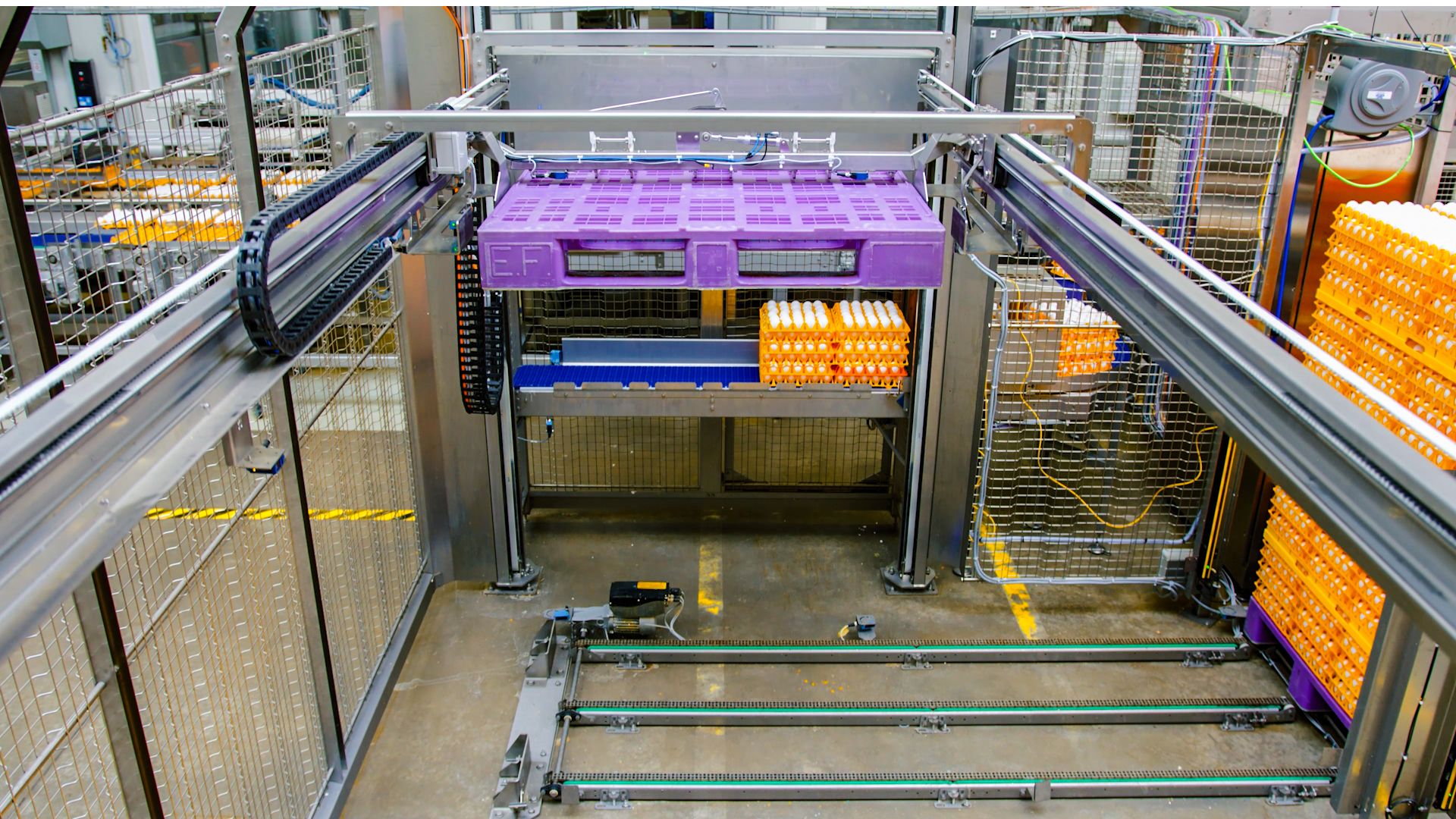 SANOVO De-Palletizer lifting a plastic pallet as part of the automated egg tray unloading process.