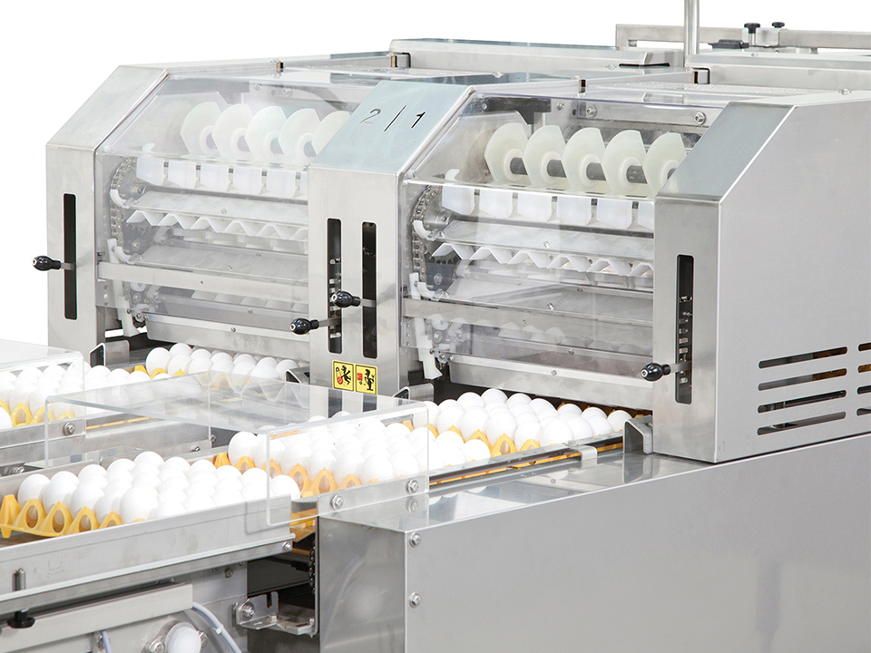 Farm Multipacker Farmpacker 200 | Efficient Egg Packer Machine for Large Farms | Sanovo ...
