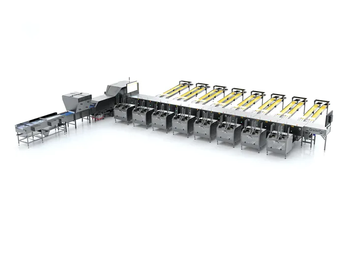 SANOVO GraderPro 220 egg grader machine with complete automated lanes for efficient medium-scale production.