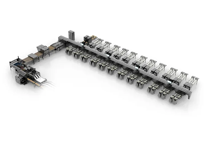 OptiGrader 600 inline egg grading machine with four-track system and multiple packing lanes by SANOVO TECHNOLOGY GROUP.