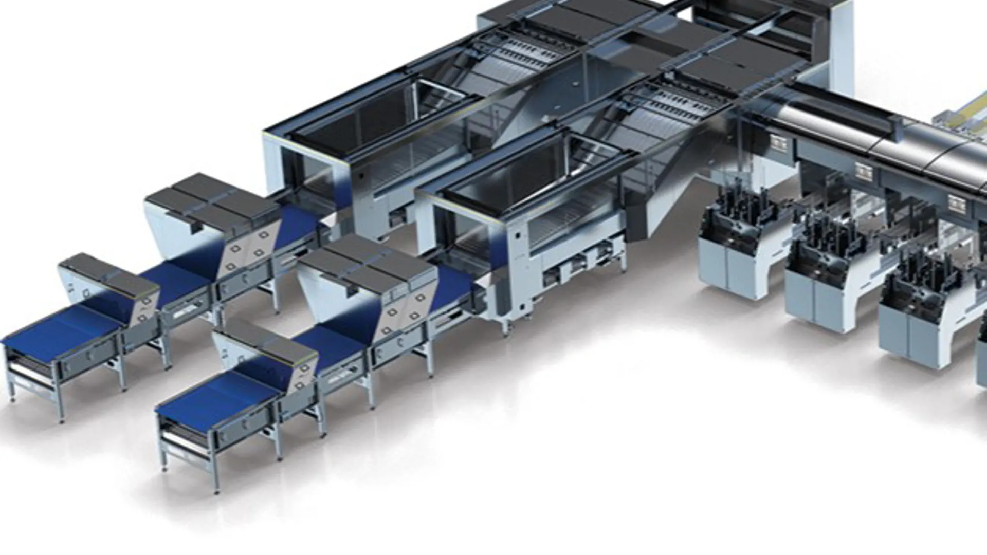 Close up of SANOVO GraderPro 800 infeed system guiding eggs into the egg grader for sorting eggs.