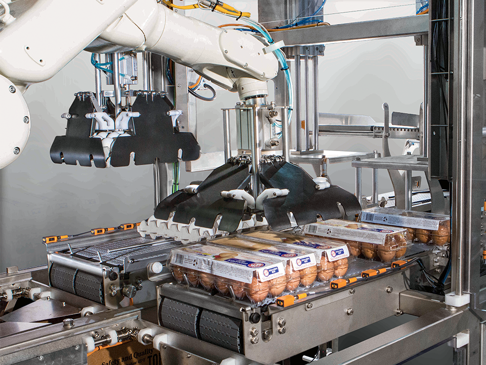 Gripping head on a SANOVO Case Packer placing consumer egg cartons onto the conveyor for packing.