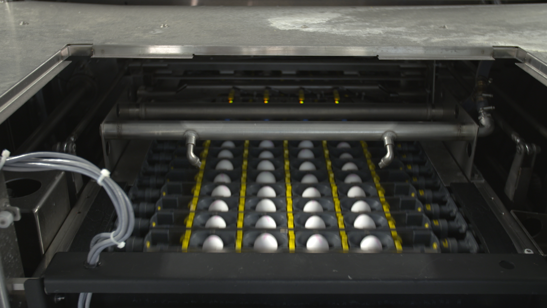 Gentle handling section of the SANOVO GraderPro egg grader machine with reduced track speed for safer egg transport.