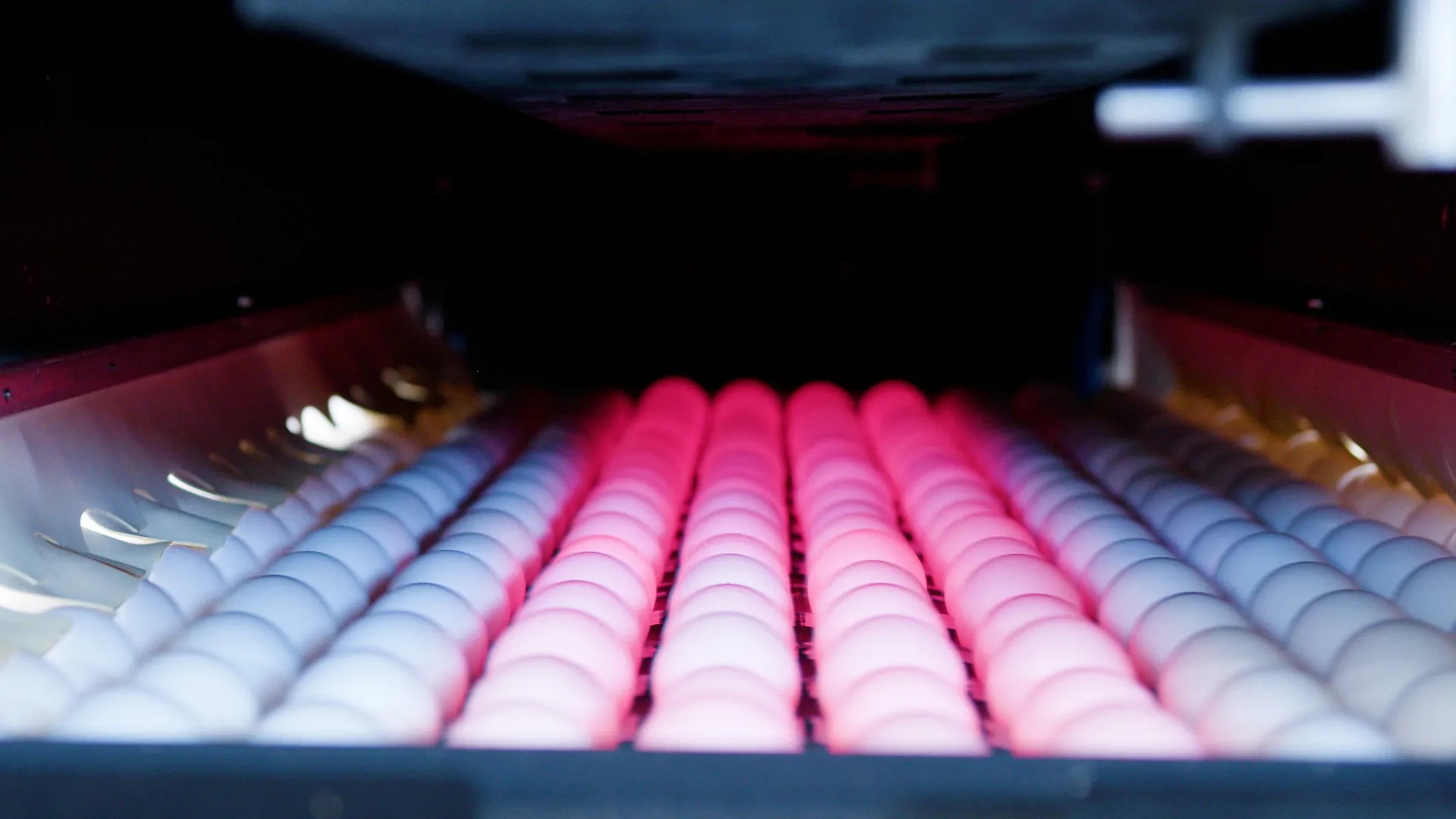 VisionAI system inspecting eggs on SANOVO egg grading machine at Mid-States Specialty Eggs facility.